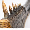 Nakorara　モンハンライズ ンハンナウ  百竜大剣  フレイムブレイド  ウォーターゴーレム 　1：1樹脂レプリカ　武器モデル　アクセサリー　武器　模擬刀　大剣　コスプレ道具　 塗装済み完成品　